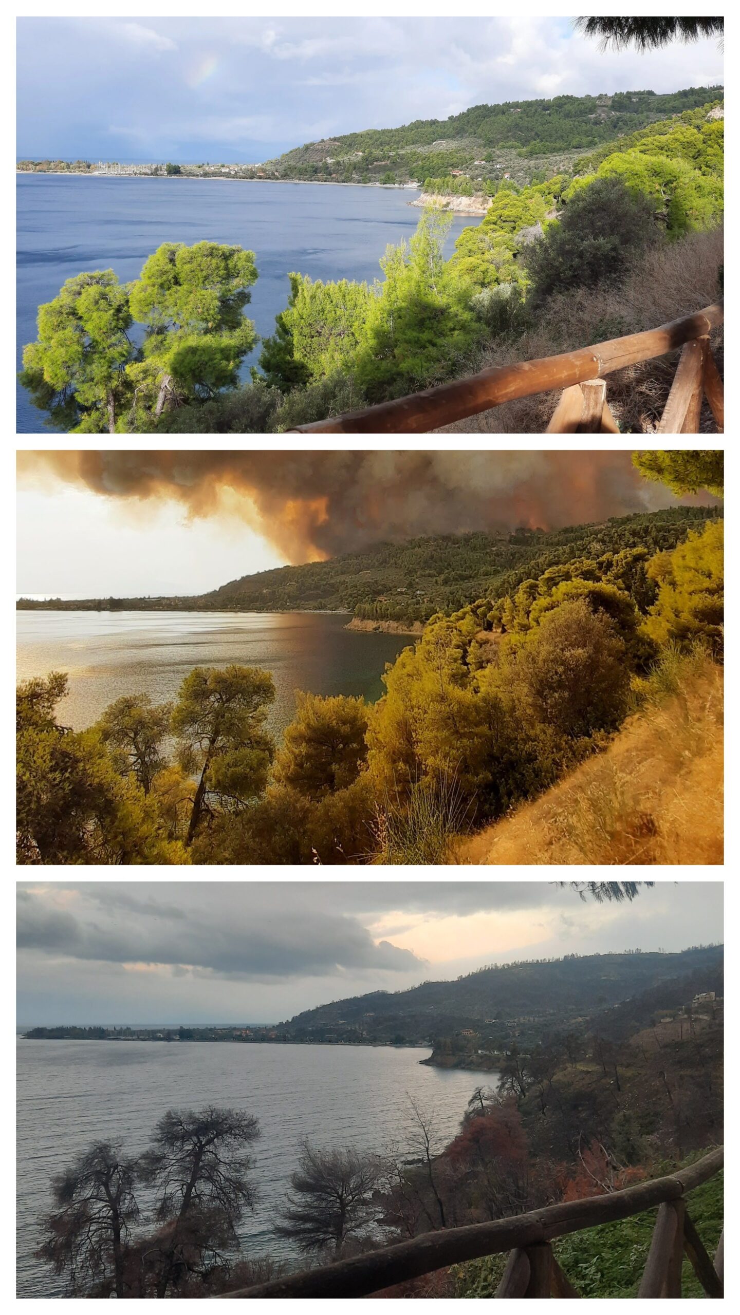 20221129_101053-COLLAGE